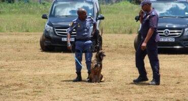 The Carletonville Dog Unit's commander, Captain Thabo Lebelo (right) and dog handler Constable Omphile Makgala with Nana during a recent demonstration at Hlanganani Primary School in Khutsong.