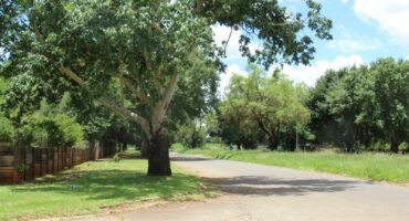 The area of Reinecke Street where the robbers struck.