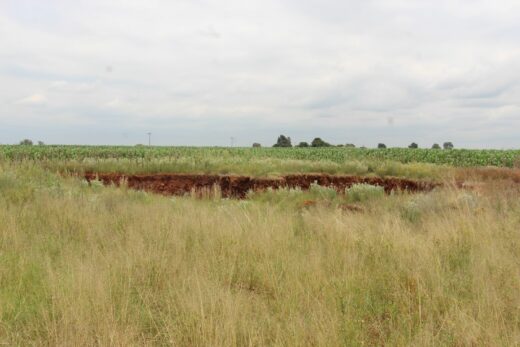 The other sinkhole that caved into a maize field closer to the N14.