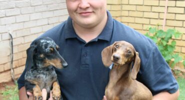 'n Personneellid van die Carletonville DBV, hou twee pragtige worshondjies vas wat na nuwe huise soek omdat hul vorige eienaars geëmigreer het. Die honde is reeds gesterilseer.