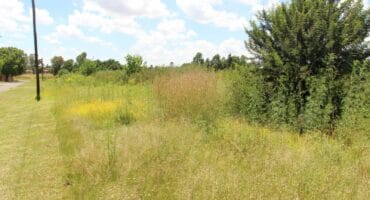 The municipality does not cut the tall grass and bushes in the area where criminals hide.