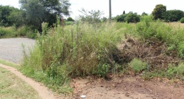 The unrehabilitated sinkhole blocks of a cul-de-sac in Umkumaas Street in Carletonville.