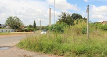 Tall grass and bushes at the corner of Umgeni Street are affecting the view of vehicles driving in Coronation Street.