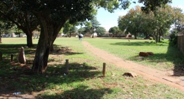 The victim and suspect got involved in an argument while relaxing in the park in Jade Street. Photo: Adele Louw (Carletonville and Fochville Herald)
