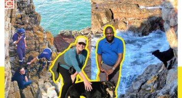 Dog rescued from Hermanus cliff face1