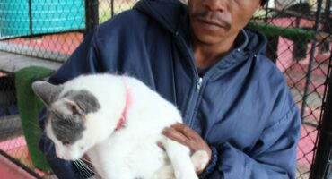 Carletonville SPCA staff member Jacob Moroke with another lovely cat that must be adopted after her owner was forced to find another home after a recent attack on a farm in the area. Photo: Adele Louw (Carletonville and Fochville Herald)