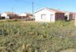 So much sewage has leaked over the years that a small marshland has formed between the houses. Photo: Adele Louw (Carletonville and Fochville Herald)
