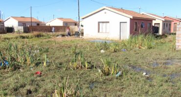 So much sewage has leaked over the years that a small marshland has formed between the houses. Photo: Adele Louw (Carletonville and Fochville Herald)