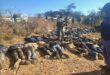 More than 150 zama-zamas were arrested during the operation. Photos: SAPS.