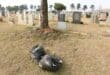 Bags of rubbish lying close to the graves. Photo: Adele Louw (Carletonville and Fochville Herald)