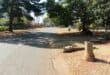 The area in Cactus Street where the man and his friends were robbed. Photo: Adele Louw (Carletonville and Fochville Herald)