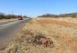 A motorist drives past several heaps of partially buried tar on the side of the road. Photo: Adele Louw (Carletonville and Fochville Herald)