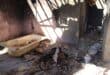 The dilapidated inside of house no. 6273. Photo: Adele Louw (Carletonville and Fochville Herald)