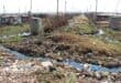 Residents must constantly live among the streams of sewage. Photo: Carletonville and Fochville Herald