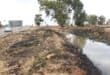 The leaks are next to the four-way crossing at the broken traffic lights by the entrance to Khutsong. Photo: Adele Louw (Carletonville and Fochville Herald)