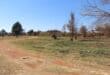 The park near the 007 shopping centre where the woman was raped. Photo: Adele Louw (Carletonville and Fochville Herald)