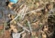 Heaps of used syringes in the garden. Photo: Adele Louw (Carletonville and Fochville Herald)