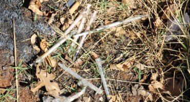 Heaps of used syringes in the garden. Photo: Adele Louw (Carletonville and Fochville Herald)