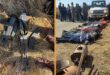 The operation yielded various successes. Photos: SAPS