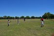 Young players in action during the mini cricket festival.
