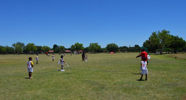 Young players in action during the mini cricket festival.