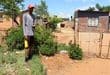 Thapelo Mohlahatsa shows where criminals stole his family’s water meter about two weeks ago. Insert: Some residents have even bought replacement globes themselves, but are not getting help from the municipality to install them. Photo: Adele Louw (Carletonville and Fochville Herald)
