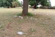 Bottles lying in the park at the circle on Monday morning. Photo: Adele Louw (Carletonville and Fochville Herald)