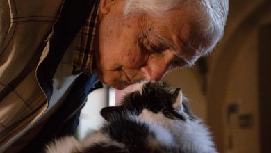 ElanaWagner-23-11-2021-Senior-PetForDementia.1 (Medium)