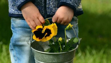 AliceCoetzee - 11-03-2022-gardening -get ready for autumn; photo 1 (Medium)