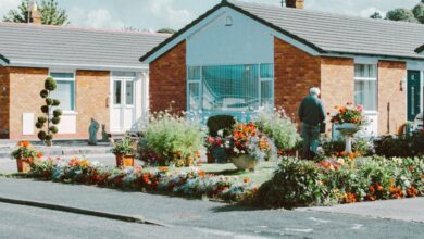 Neighbour disputes