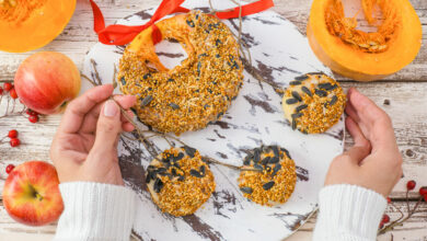 Sunday craft: DIY bird seed cookies