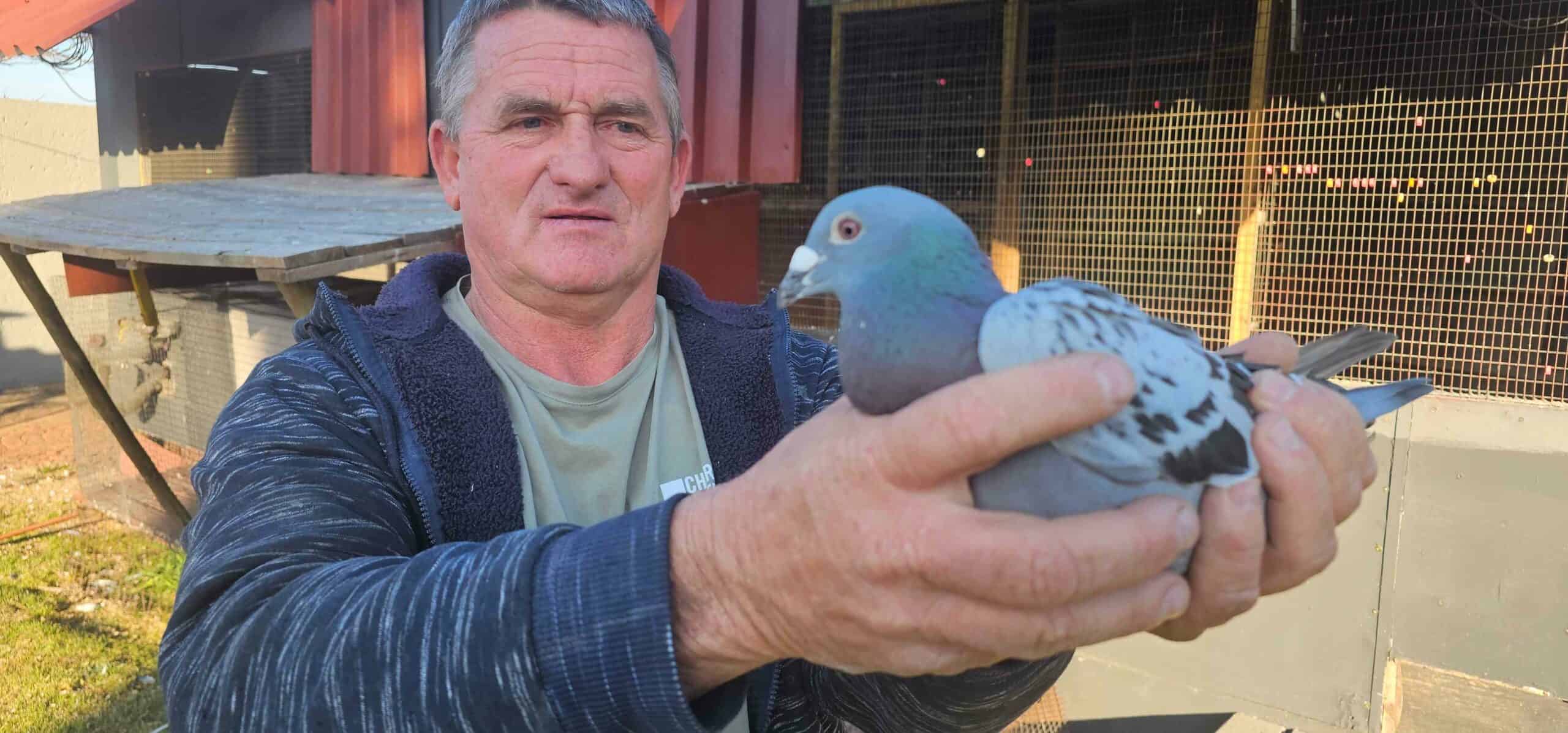 Wedvlugduiwe voltooi seisoen en wys kampioene vir Legends duiweklub in Parys aan.