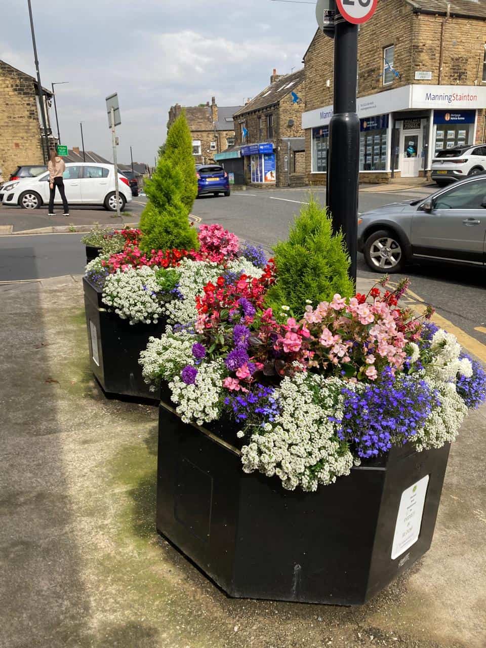 Blombakkie in Engeland