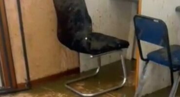 Feces in municipal office