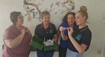 Lambchamps lootjie wenner getrek