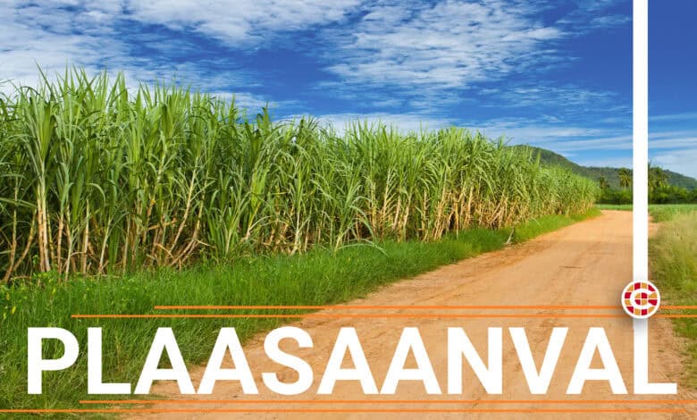 Egpaar op plaas aangeval