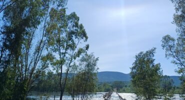 Schoemansdrift laagwaterbrug