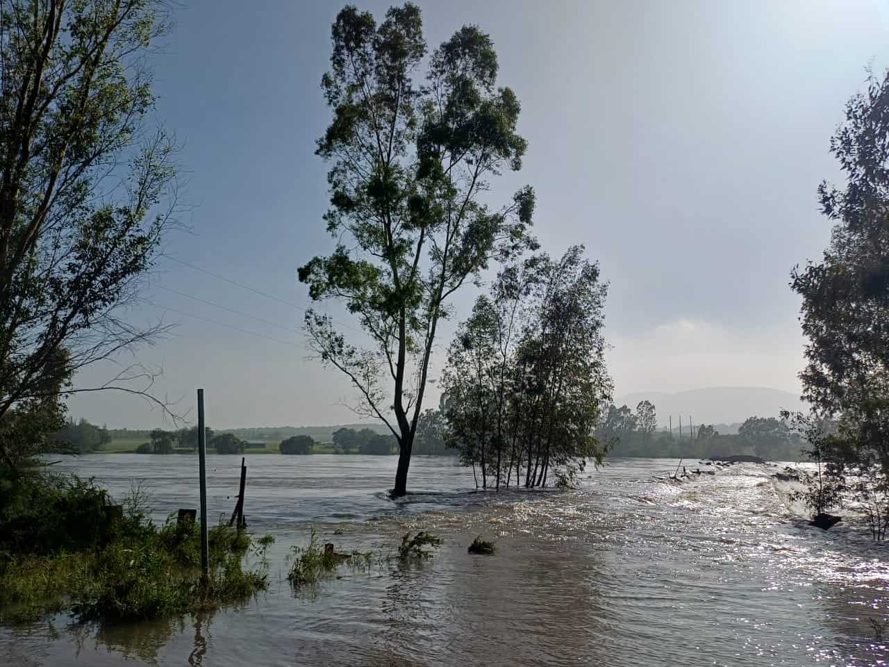 Schoemansdrift laagwaterbrug