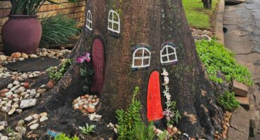 Feetjieboom in Boomstraat, Parys