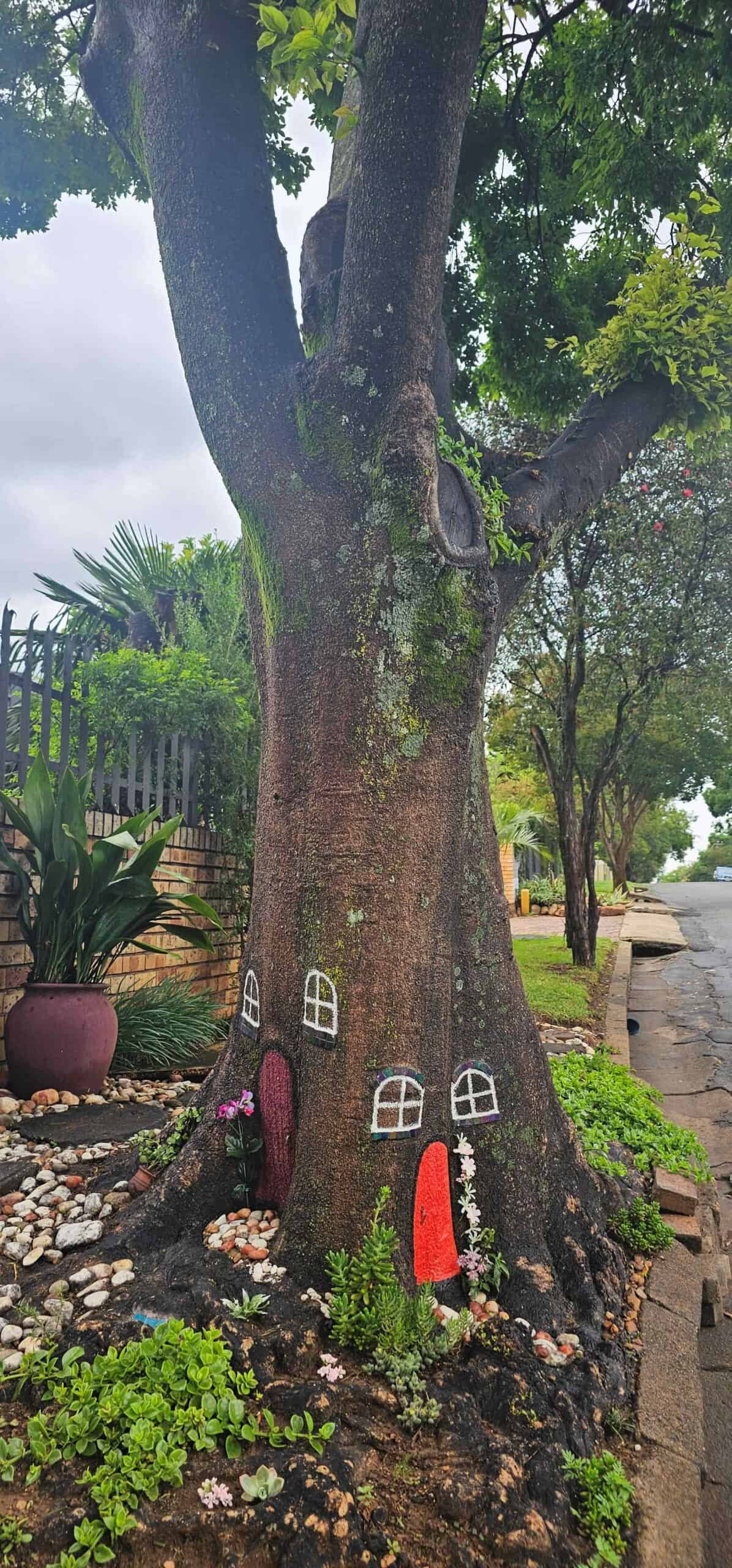 Feetjieboom in Boomstraat, Parys
