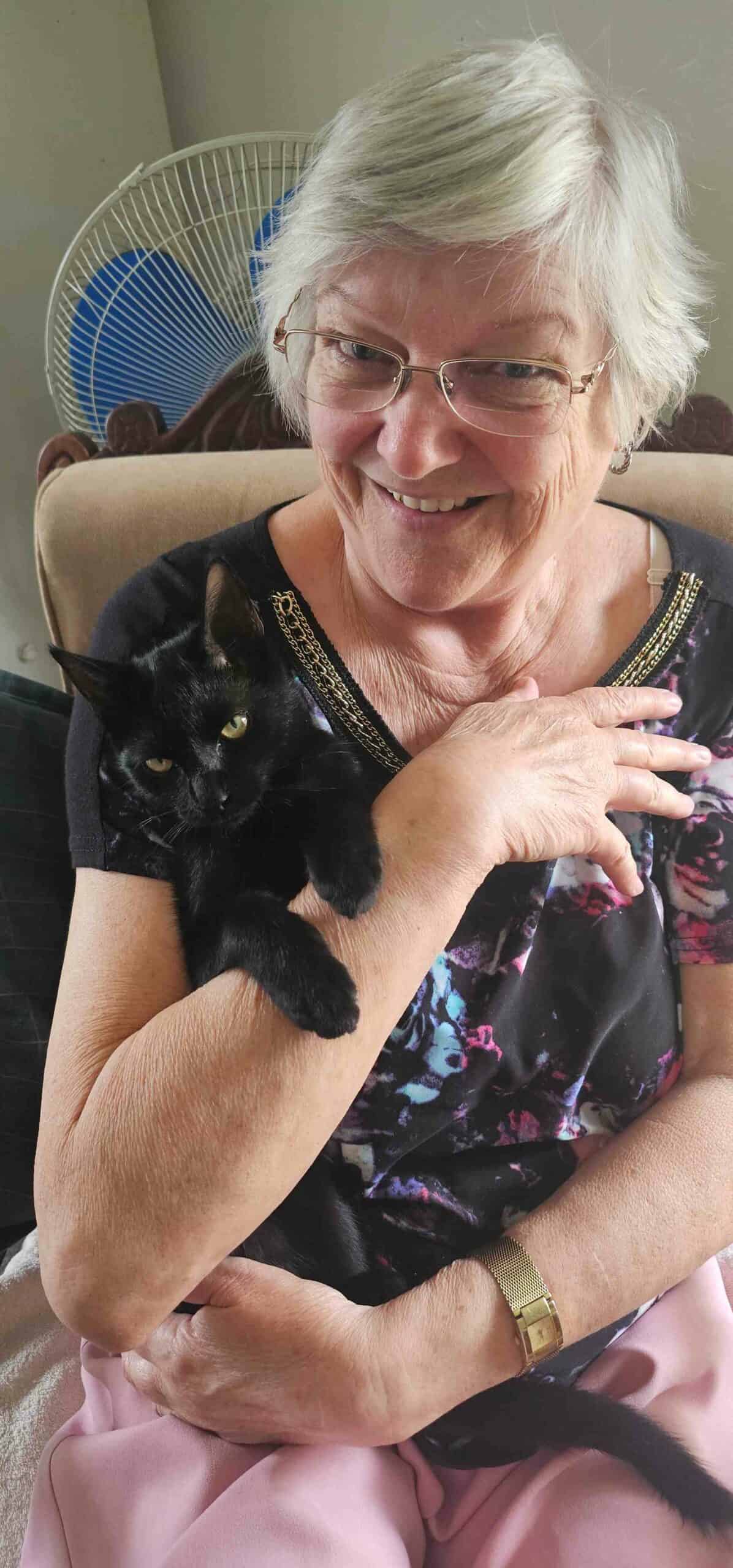 Kat met windbuks geskiet in woonbuurt.