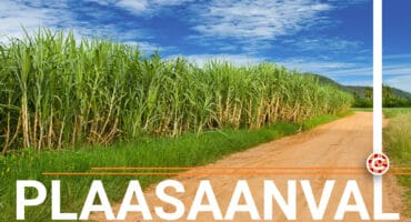 Plaasaanval illustrasiefoto