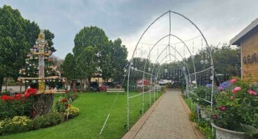 Die Najaarsrus-tuin getooi met liggies.