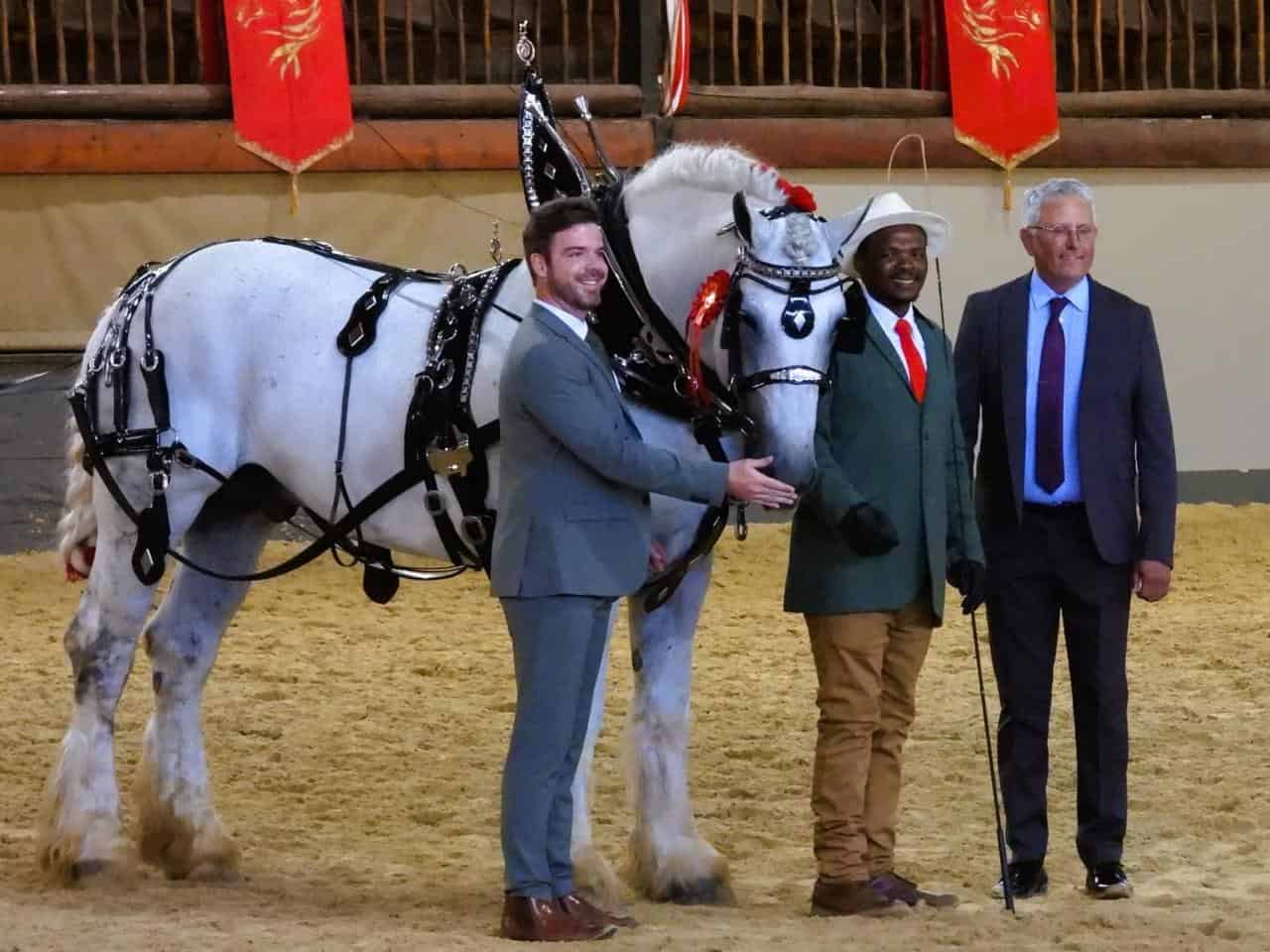 Mafura Flavion van Jozaak Arabier & Percheron-stoet enMarchelle Sacco. Mafura Flavion is die Percheron Best of Breed.