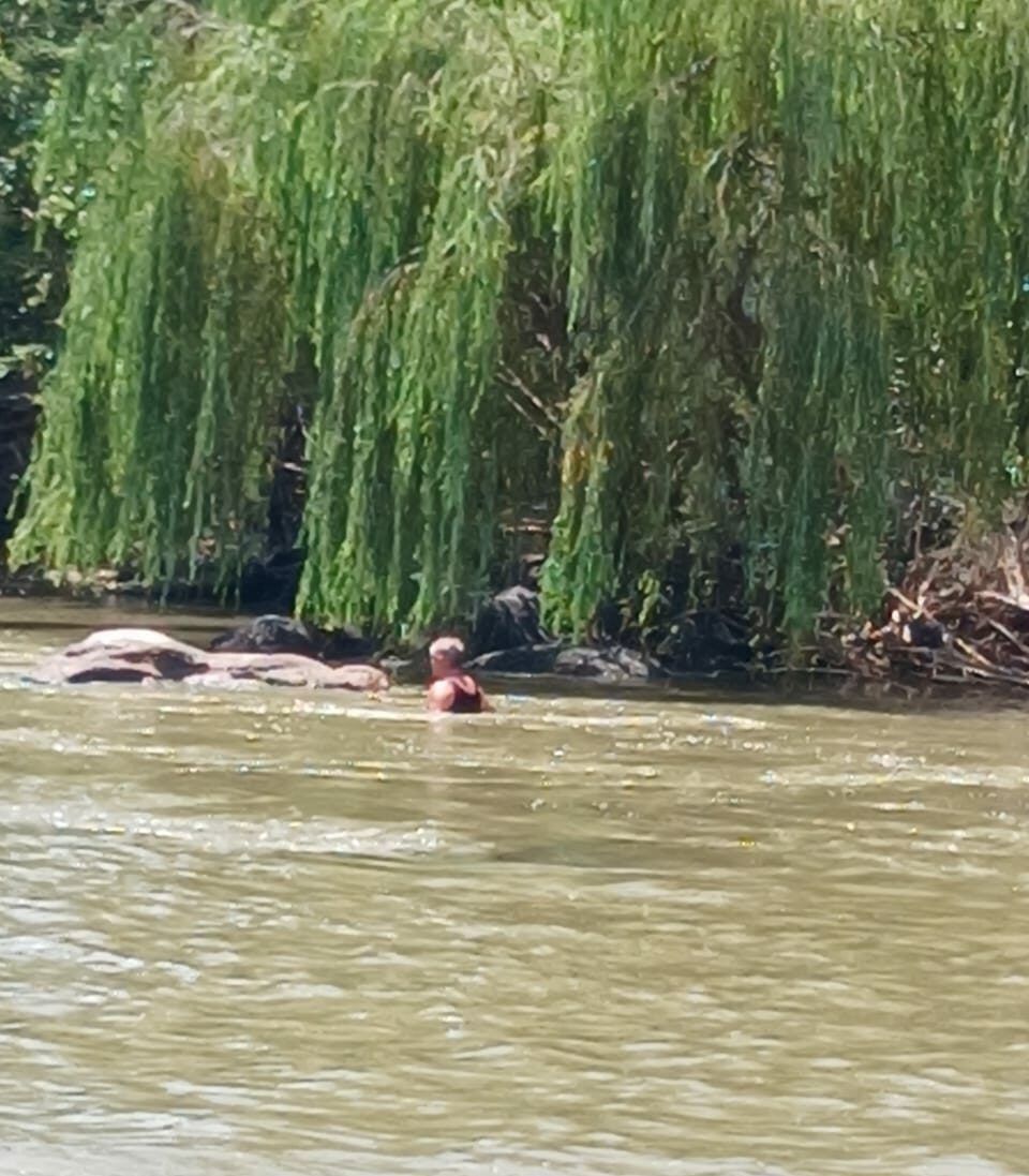Adjudant-offisier Hollie Holtzhausen van die Sasolburgse K9 Soek-en-reddingseenheid waar daar vanmiddag in die Vaalrivier by die hanbrug in Parys gesoek is.