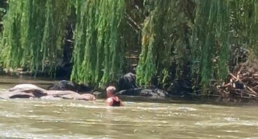 Adjudant-offisier Hollie Holtzhausen van die Sasolburgse K9 Soek-en-reddingseenheid waar daar vanmiddag in die Vaalrivier by die hanbrug in Parys gesoek is.