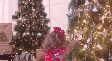 Onder 26 kersbome is die vreugde van Kersfees gedeel.