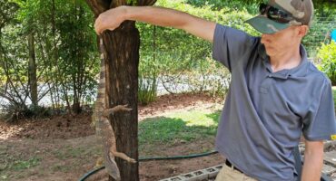 Die likkewaan wat deur WeCare se Wynand Nel in Hickmanstraat gevang is.