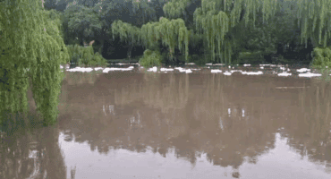 Die Emfuleni munisipaliteit word nou uiteindelik voor die hof gebring oor jarelange besoedeling van die Vaalrivier. Foto: Verskaf