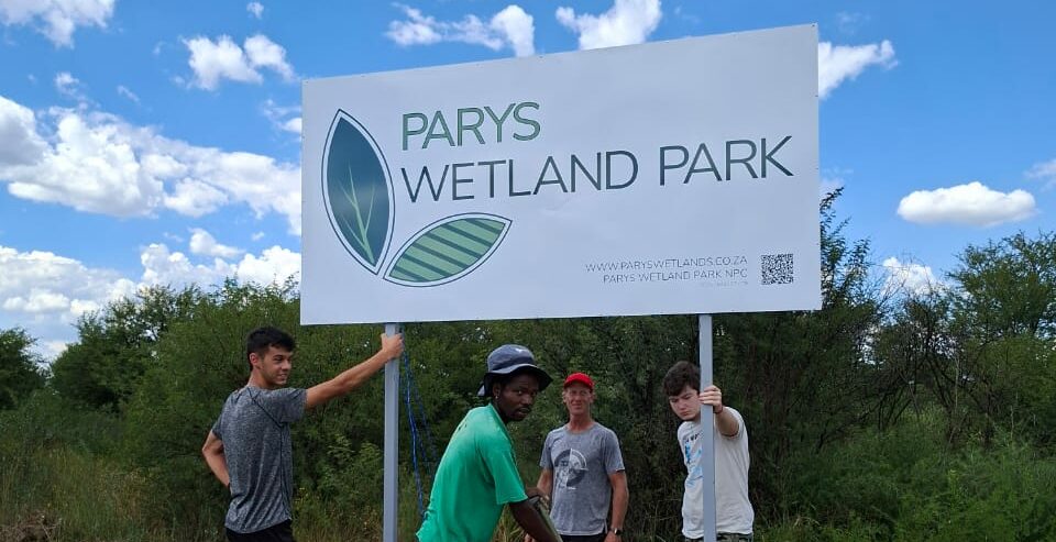 The result of months of hard work all comes together on Saturday with the official opening of the Parys Wetland Park.